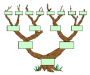 Arbre